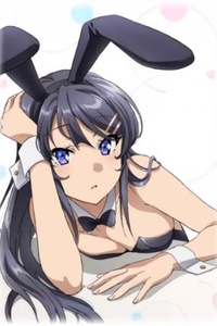 Seishun Buta Yarou series
